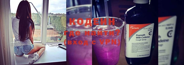 индика Тобольск