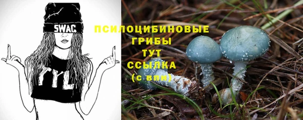 стаф Навашино