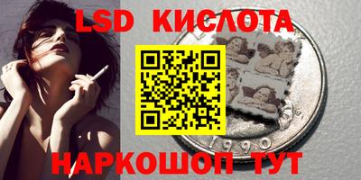 крисы Берёзовский