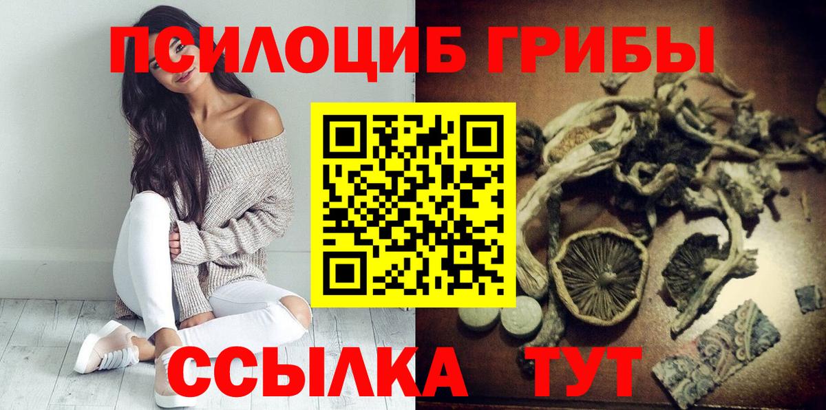 Галлюциногенные грибы Magic Shrooms  Кинель  Псилоцибиновые грибы Magic Shrooms 